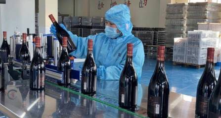 好品山東|青島西海岸新區(qū):著力做強(qiáng)精深加工 加快藍(lán)莓全產(chǎn)業(yè)鏈發(fā)展