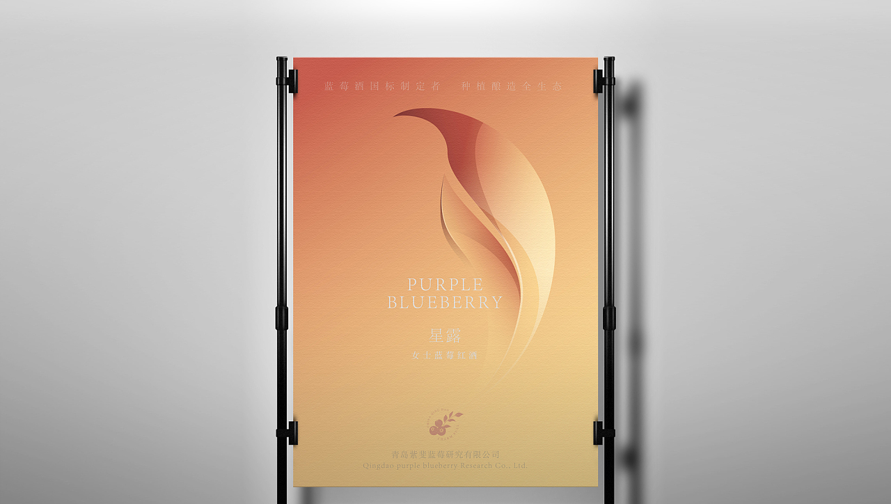藍(lán)莓酒品牌形象、包裝設(shè)計(jì)