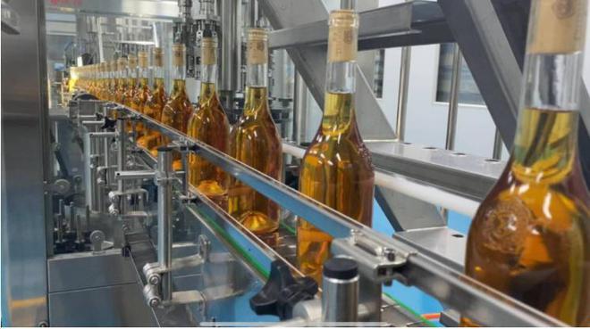 青島紫斐:匠心筑夢,打造藍莓酒界的中國“拉菲”