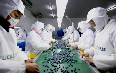 青島西海岸新區2021“黃島藍莓季”即將啟幕