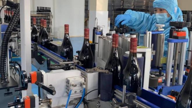 青島紫斐:匠心筑夢,打造藍莓酒界的中國“拉菲”